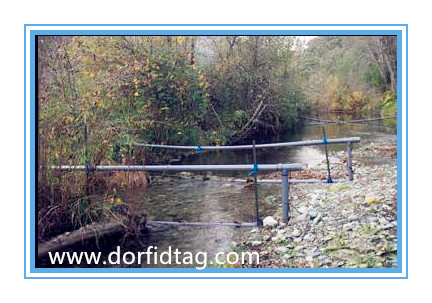 PIT tag fish FDX PIT Tags for RFID wild animal applications 